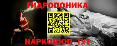 стафф Заволжье