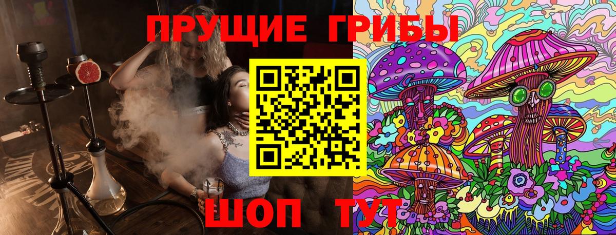 Дербент  Псилоцибиновые грибы GOLDEN TEACHER  Галлюциногенные грибы мицелий  Вход с VPN 
